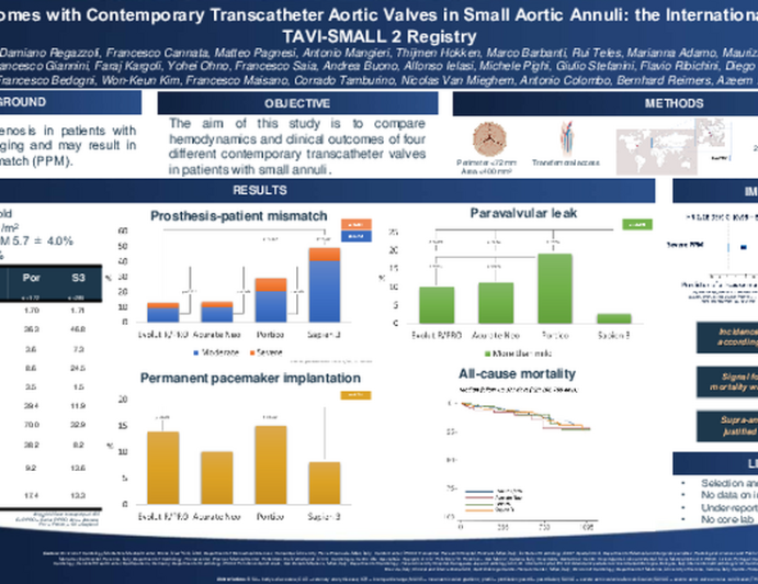 Clinical Outcomes with Contemporary Transcatheter Aortic Valves in Small Aortic Annuli: the International Multicenter TAVI-SMALL 2 Registry