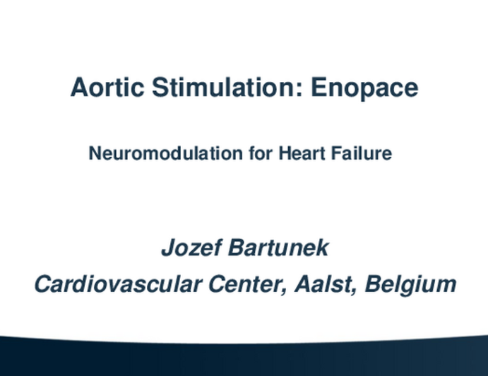 Aortic Arch Simulation (Enopace)