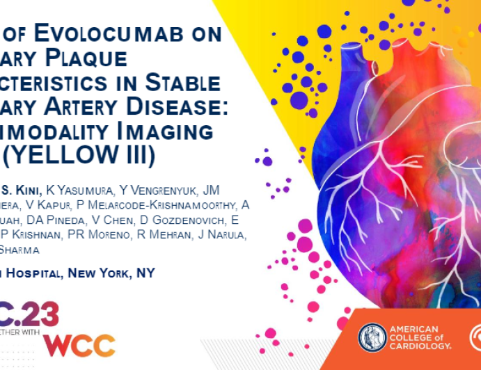 Effect of Evolocumab on Coronary Plaque Characteristics in Stable Coronary Artery Disease: a Multimodality Imaging Study (YELLOW III)