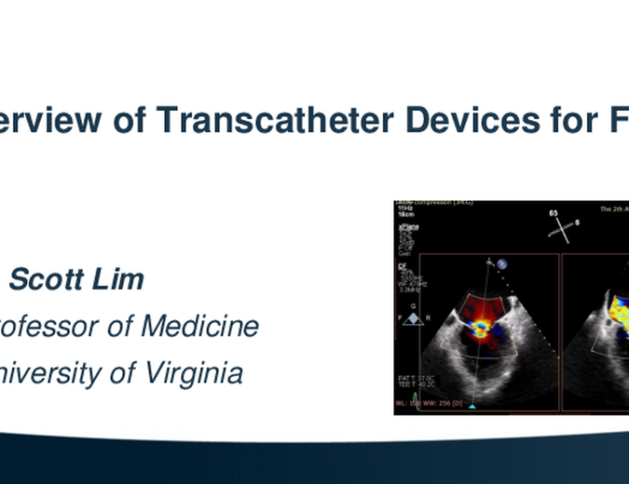 Overview of Transcatheter Devices for FMR