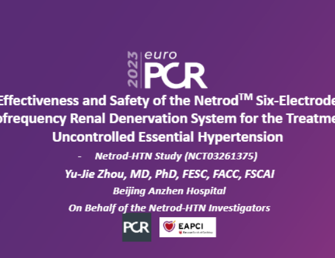 Effectiveness and Safety of the NetrodTM Six-Electrode Radiofrequency Renal Denervation System for the Treatment of Uncontrolled Essential Hypertension