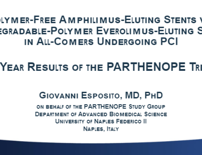 Polymer-Free Amphilimus-Eluting Stents vs. Biodegradable-Polymer Everolimus-Eluting Stents in All-Comers Undergoing PCI: 1-Year Results of the PARTHENOPE Trial