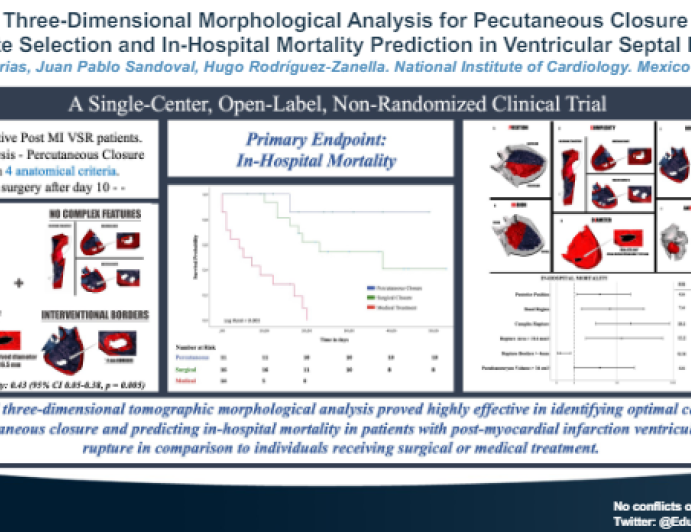 Three-Dimensional Morphological Analysis por Percutaneous Closure Candidate Selection and In-Hospital Mortality Prediction in Ischemic Ventricular Septal Ruptures