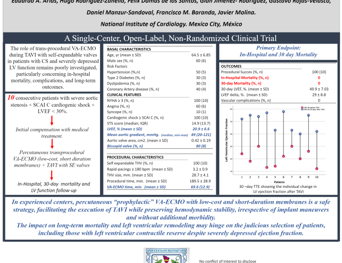 Percutaneous VA-ECMO during TAVI in Patients with Cardiogenic Shock and Severely Depressed Left Ventricular Function