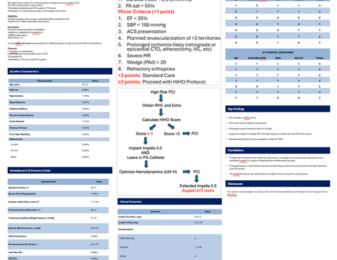 High Risk PCI with Hemodynamic Optimization Peri-revascularization (HiHO)