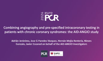 Combining angiography and pre-specified intracoronary testing in patients with chronic coronary syndromes: the AID-ANGIO study