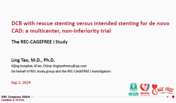 DCB with rescue stenting versus intended stenting for de novo CAD: a multicenter, non-inferiority trial