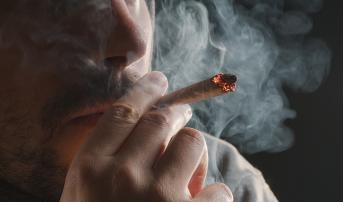 Cannabis Use Again Tied to Increased CVD Risk in Young People