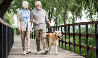 Procedural MIs Have Little Effect on Quality of Life: ISCHEMIA