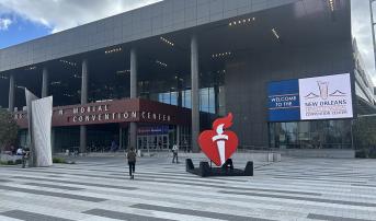 Sham-Controlled Trial, and More, Bolster Pulsed-Field Ablation for AF