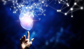 Novel VECTOR Procedure Creates Percutaneous Aorto-Coronary Bypass