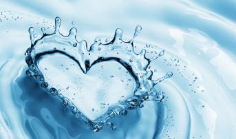 Noninvasive FFR Measures Match Wire-Based Assessment: ALL RISE and FAST III