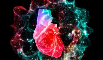 Two Conduction-System Pacing RCTs Give Conflicting Results