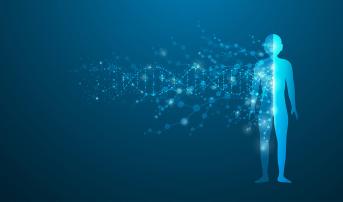 Polygenic Risk Score Predicts Eight Cardiovascular Conditions