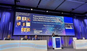 Transseptal TMVR in MAC Shows Promise in Registry