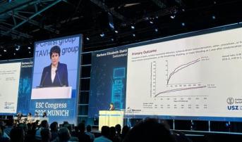 TAVI PCI: Fixing the Aortic Valve Before the Coronaries Can Be a Valid Option 