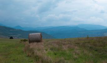 Pre- and Post-EVAR Care Not Optimal for Rural AAA Patients