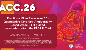 Fractional Flow Reserve or 3D-Quantitative-Coronary-Angiography Based Vessel-FFR guided revascularization: the FAST III Trial