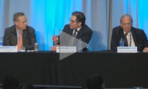 Optimizing Outcomes During and After PCI: From Intravenous to Oral Platelet Inhibition