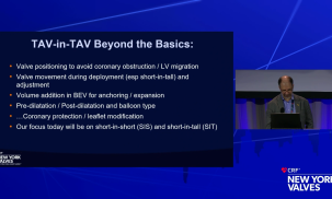 Reintervention in Structural Heart Disease: TAV-in-TAV Solutions and Case Learnings