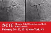 CTO 2013