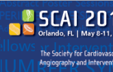 SCAI 2013