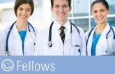 Fellows 2013