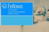 Fellows 2017