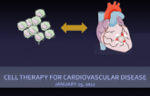 Cell Therapy 2012