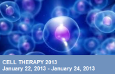 Cell Therapy 2013