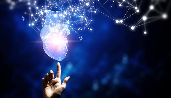 Novel VECTOR Procedure Creates Percutaneous Aorto-Coronary Bypass