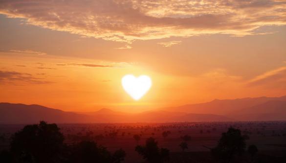 Holding Out Hope for HF Shunts, Even After an FDA Panel’s Doubts