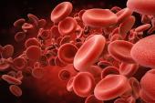 Patients With A-fib Still Have High Mortality Risk After Appropriate Anticoagulation Is Started