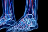 Low Ankle-Brachial Index a Harbinger of Poor Physical QoL and Lack of Mental Vitality