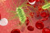 Elevated Cardiovascular Risk May Linger for Several Years After a Severe Infection