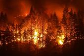 Particulate Matter From California Wildfires Linked to Cardiovascular and Cerebrovascular Events