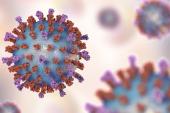 Respiratory Syncytial Virus Linked With Cardiovascular Complications