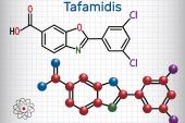 Tafamidis, a Transthyretin Stabilizer, Offers Hope for Rare Cardiomyopathy