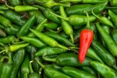 Higher Chili Pepper Consumption Linked to Fewer CVD Deaths 