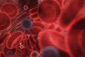 Study Affirms Thrombotic Risk in COVID-19
