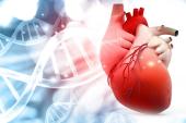 Aortic Dissection Risk Rises in Pregnancy for Women With Marfan Syndrome