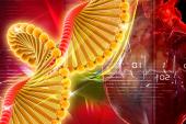 Polygenic Risk Score IDs People at Risk for Early MI, Death