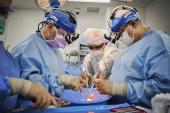 Two More Pig-to-Human Cardiac Xenotransplants Help Answer Many Unknowns