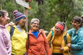 CV Risk Disparities by Race/Ethnicity Persist in Childhood Cancer Survivors