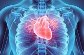 New Chronic Heart Disease Guidelines Update Roles of GDMT, Imaging, and Revascularization 