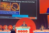 New Carotid Stent Systems Associated With Low Stroke Risk