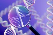 Genetic Tests for Predicting Clopidogrel Response Gain Traction: AHA