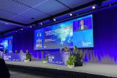 Polymer Mitral Valve Shows Well Early, but Long-term Data Key 
