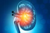 Study Supports Cost-effectiveness of Renal Denervation for Hypertension