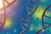 Genetic Risk Score for Endothelial Cell Dysfunction Identifies Patients at Risk